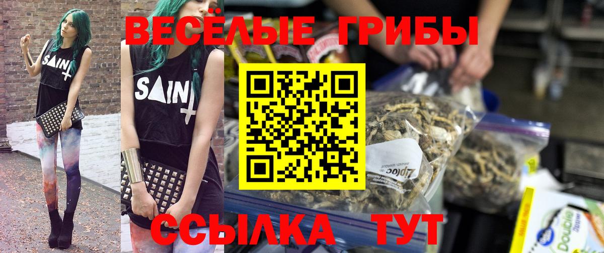 Ялуторовск  Псилоцибиновые грибы Cubensis  Вход с VPN  Псилоцибиновые грибы мицелий 